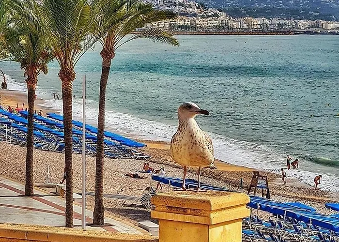Apartament Casablanca Finestrat Benidorm